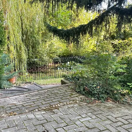 Dom wakacyjny Ferienhaus-natur-elbblick-vollausstattung Magdeburg